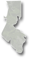 Pinellas County